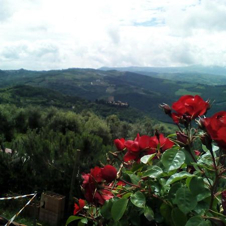 Poggio Al Vento Guest House Castiglione dʼOrcia Eksteriør bilde
