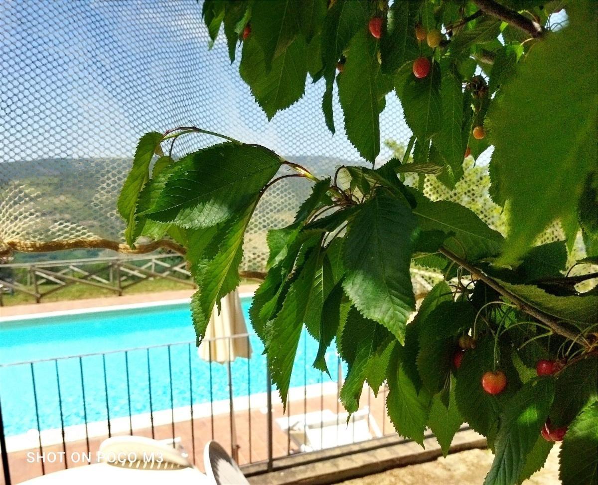 Poggio Al Vento Guest House Castiglione dʼOrcia Eksteriør bilde