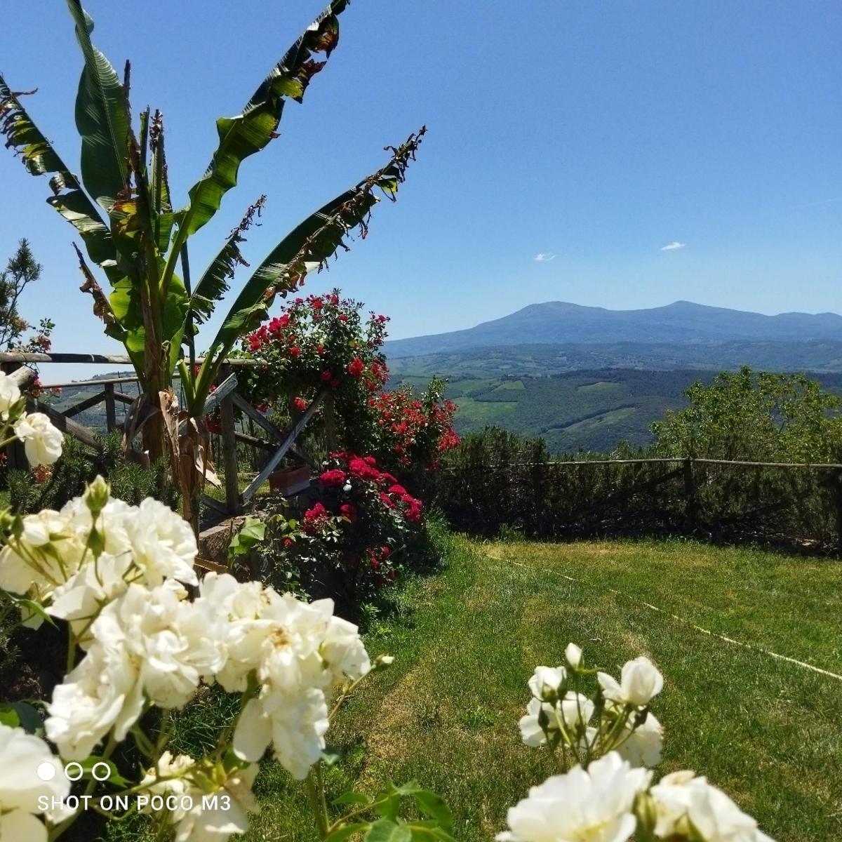 Poggio Al Vento Guest House Castiglione dʼOrcia Eksteriør bilde