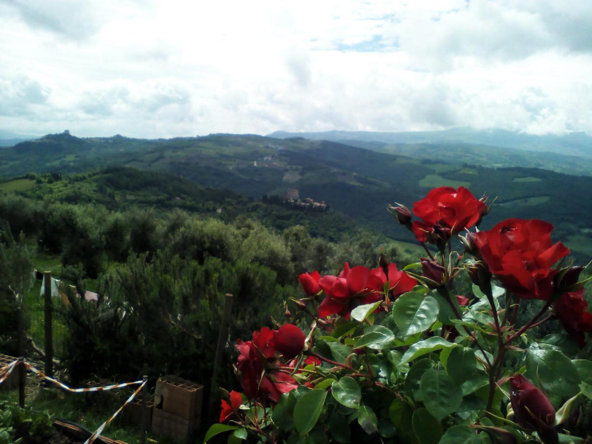 Poggio Al Vento Guest House Castiglione dʼOrcia Eksteriør bilde