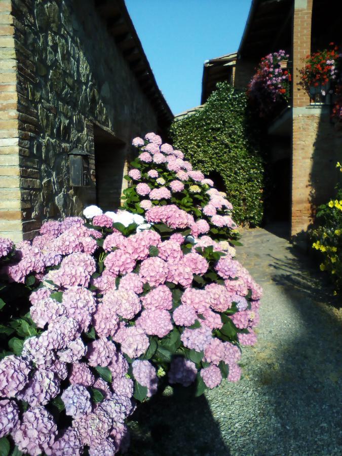 Poggio Al Vento Guest House Castiglione dʼOrcia Eksteriør bilde